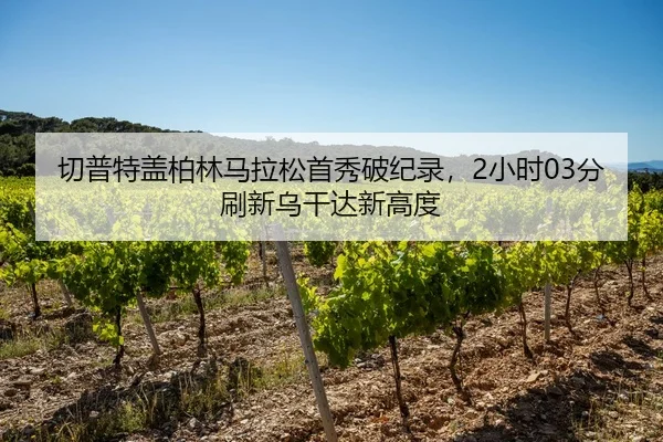 qie-pu-te-gai-bo-lin-ma-la-song-shou-xiu-po-ji-lu-xiao-shi-fen-shua-xin-wu-gan-da-xin-gao-du-2-615.jpg